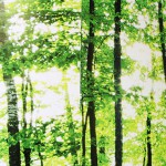 Wissenswertes zu biologischem Zahnersatz